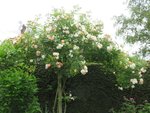 2016-06-15 Ghis. de Féligonde.jpg
