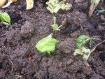 20160617_114231.jpg