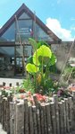 20160615_160043.jpg