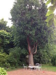 2016-06-17 19.22.08.jpg