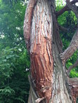 2016-06-18 10.33.55.jpg
