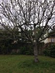 IMG_0641.jpeg