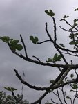 IMG_0643.jpeg