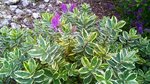 WP_20160620_002.jpg