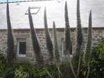 DSCF7970.JPG