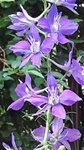 20160531_103024.jpg