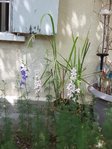 20160604_151955.jpg
