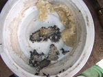 Mousse-4.jpg