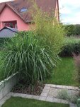 IMG_0759_light.jpg