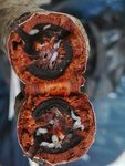 rps20160622_213752.jpg