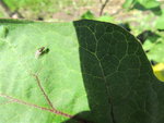 IMG_0084.jpg