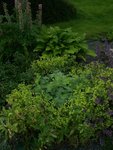 100_9255.JPG