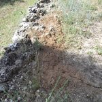 DSCF2718 (Copier) (Copier) (Copier) (Copier).JPG