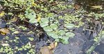 13507209_10209825500938328_8047285067014807221_n.jpg
