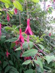 20160625_162449.jpeg