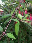 20160625_162154.jpeg