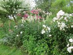 2016-06-26 Jardin Thierry_06 X.jpg