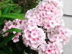 20160628_090342-1-1.jpg
