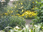 DSCN6984.JPG