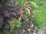 DSCF0207.JPG