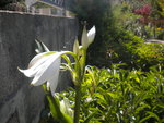 DSCN7033.JPG