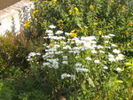 DSCN7041.JPG