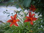 DSCN7045.JPG