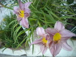 DSCN7044.JPG