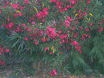 DSCN7048.JPG