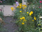 DSCN7052.JPG