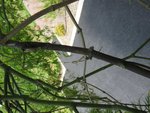 IMG_5653-25%.JPG