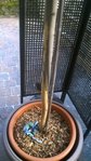 WP_20160705_002.jpg