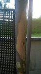 WP_20160705_003.jpg
