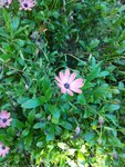 IMG_20160706_174943 (Medium).jpg