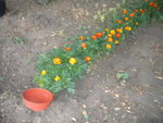 DSCN7086.JPG