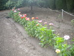 DSCN7087.JPG