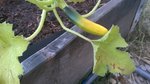 WP_20160708_006.jpg
