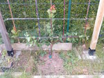 IMAG1189.jpg