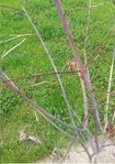 20160711_092731.jpg