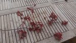 20160711_180729.jpg