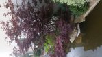 20160711_180842.jpg