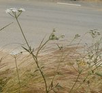 DSCN3158.JPG
