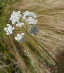 DSCN3159.JPG