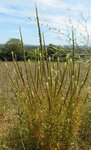 DSCN3157.JPG
