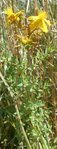 DSCN3161.JPG