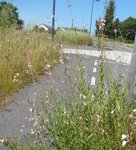 DSCN3170.JPG