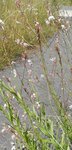 DSCN3171.JPG