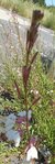 DSCN3174.JPG