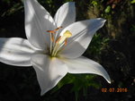 DSCN3166.JPG