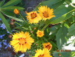DSCN3165.JPG